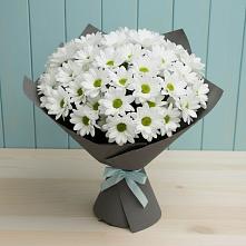 Букет цветов из:  Хризантемы в Фаустово