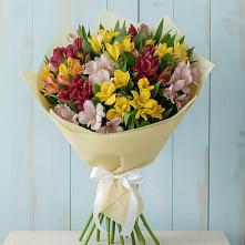 Букет цветов из:  Альстромерии #REPLACE_PRED# Фаустово