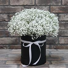 Цветочная композиция из Гипсофила в шляпной коробке в Фаустово